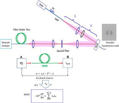 Light Localization and Principal Mode Propagation in Optical Fibers